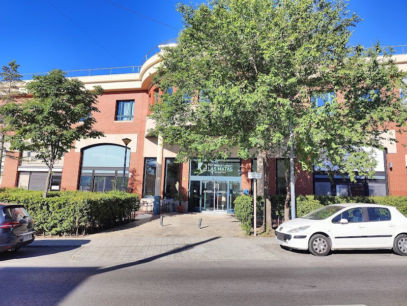 Hotel Plaza Las Matas in Las Rozas de Madrid, Spain