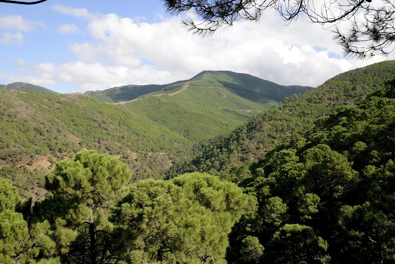 Hotel Sierra Bermeja in Estepona, Spain