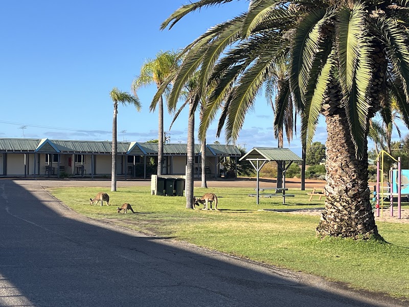 Kalbarri Palm Resort in Kalbarri, Australia