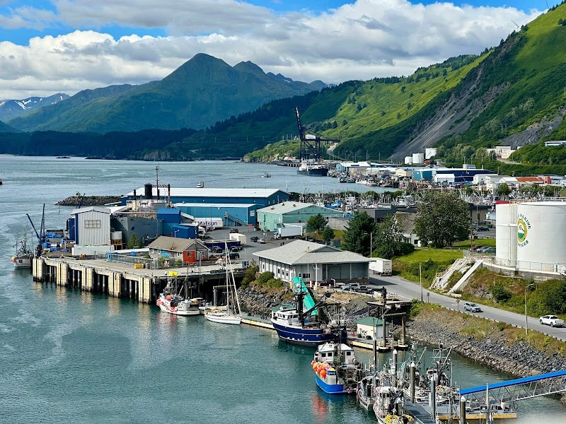 Kodiak Brown Bear Center in Kodiak, Alaska, United States