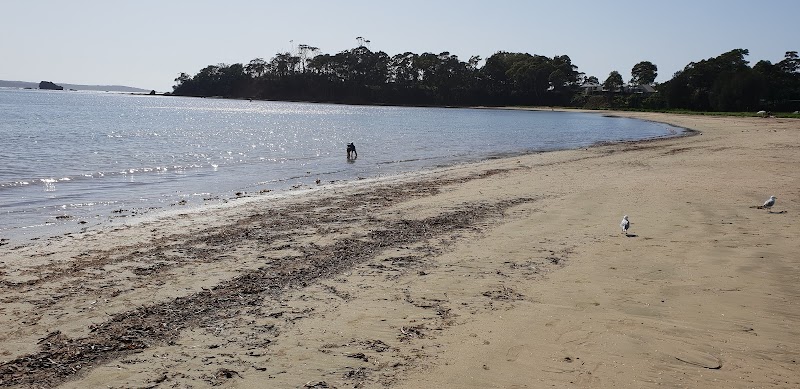 Kon Tiki Apartments in Batemans Bay, Australia