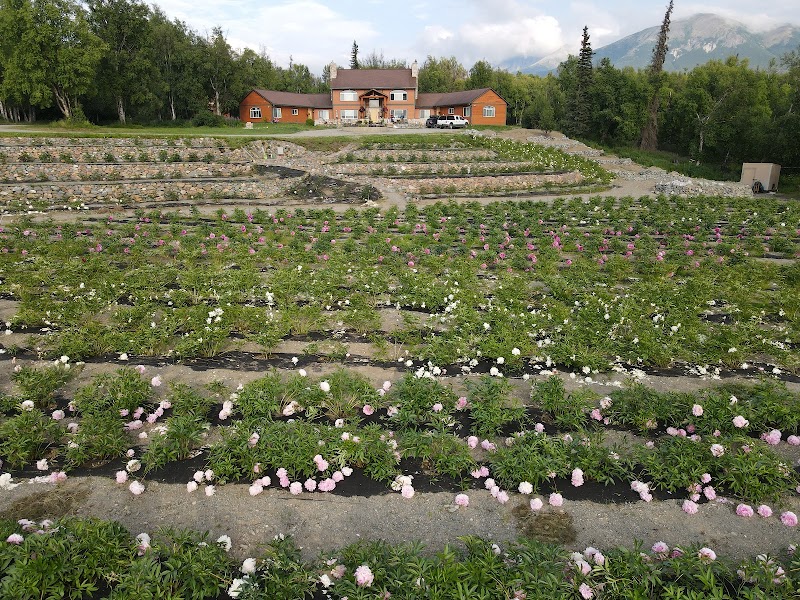 Lazy Mountain Bed & Breakfast in Palmer, Alaska, United States