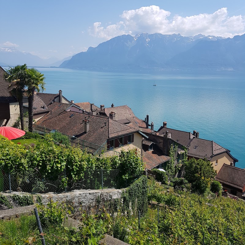 Le Leman Hotel in Vevey, Switzerland