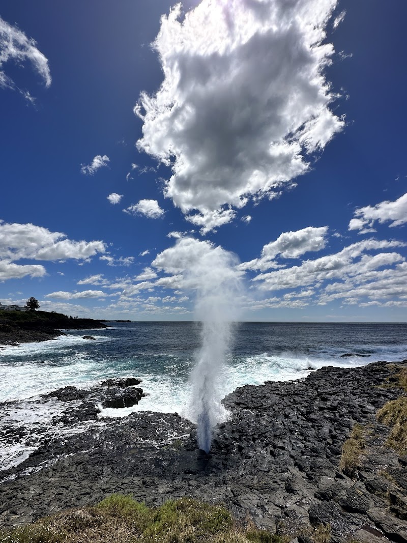 Little Blowhole B&B in Kiama, Australia