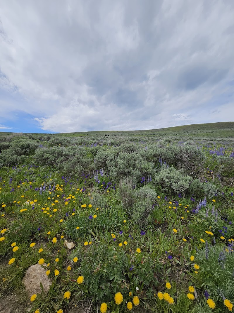 Little Willow Creek Inn in Sheridan, Wyoming, United States