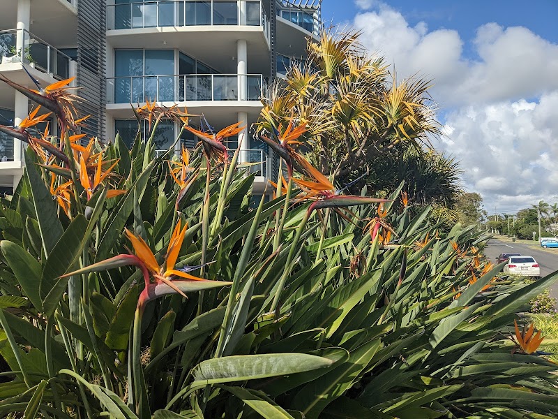 Manta Bargara Resort in Bundaberg, Australia