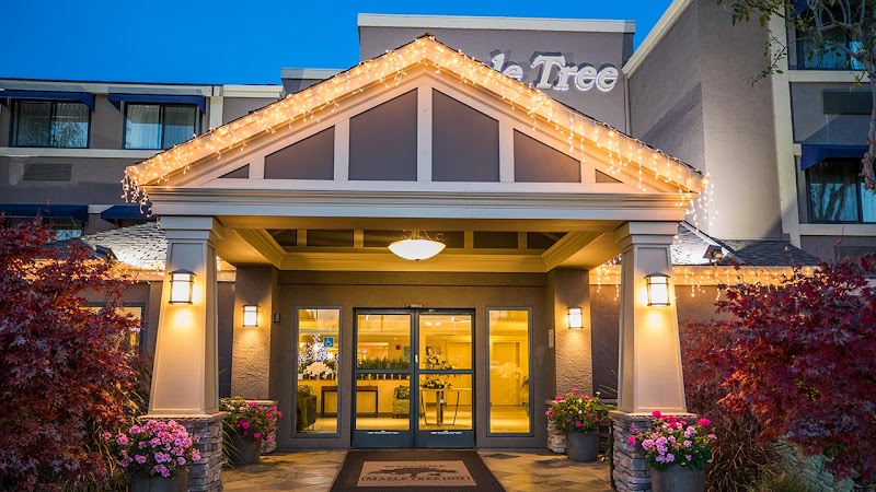 Maple Tree Inn in Sunnyvale, California, United States