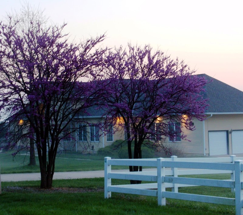 Miller's Dream Bed and Breakfast in De Soto, Kansas, United States