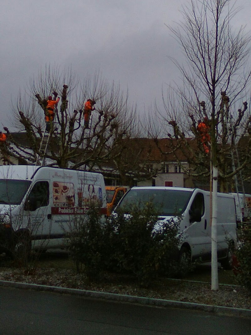 Mittenza Hotel in Muttenz, Switzerland