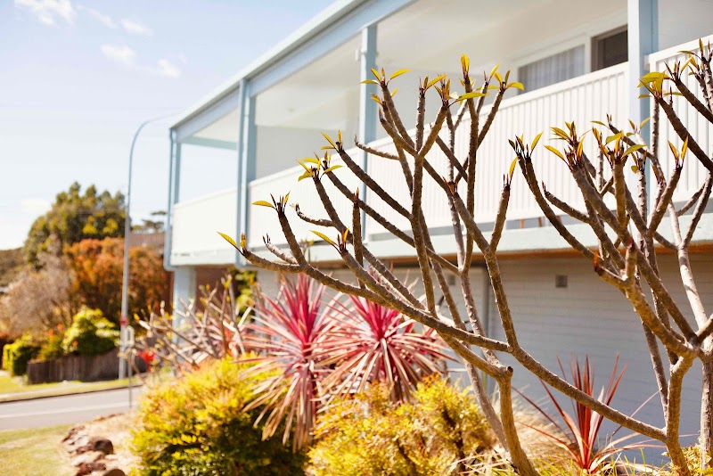 Mollymook Surfbeach Motel in Ulladulla, Australia