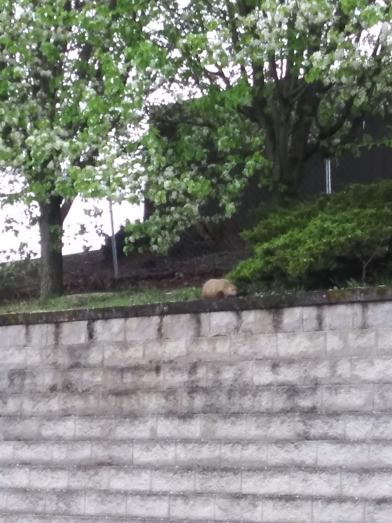 Oak Tree Extended Stay in Christiansburg, Virginia, United States