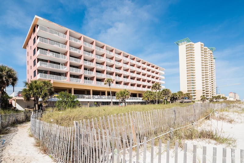 Osprey on the Gulf in Panama City Beach, Florida, United States