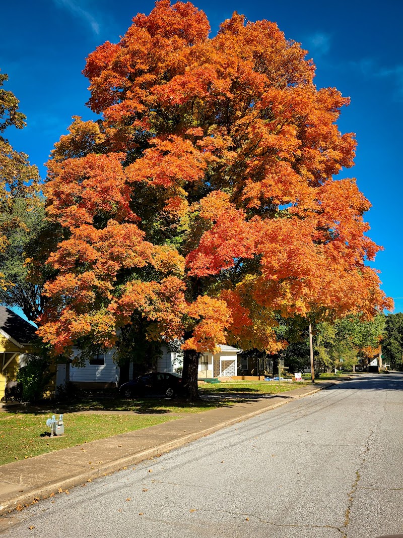 Pea Ridge Inn in Pea Ridge, Arkansas, United States
