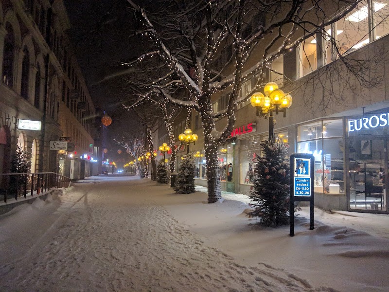 Pensionat Björnen in Ostersund, Sweden