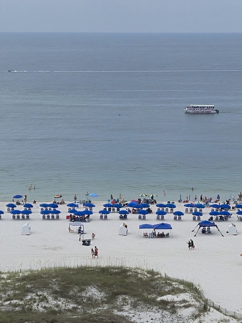 Phoenix VI in Orange Beach, Alabama, United States