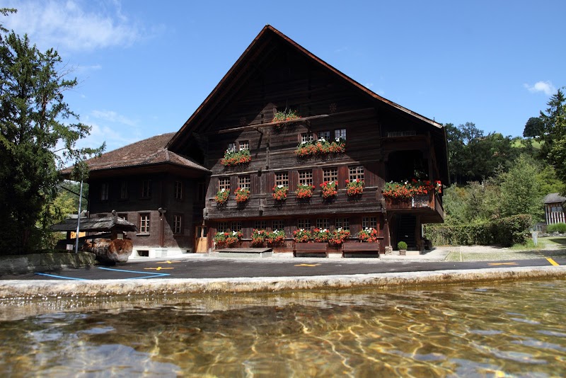 Purplehouse in Langnau, Switzerland