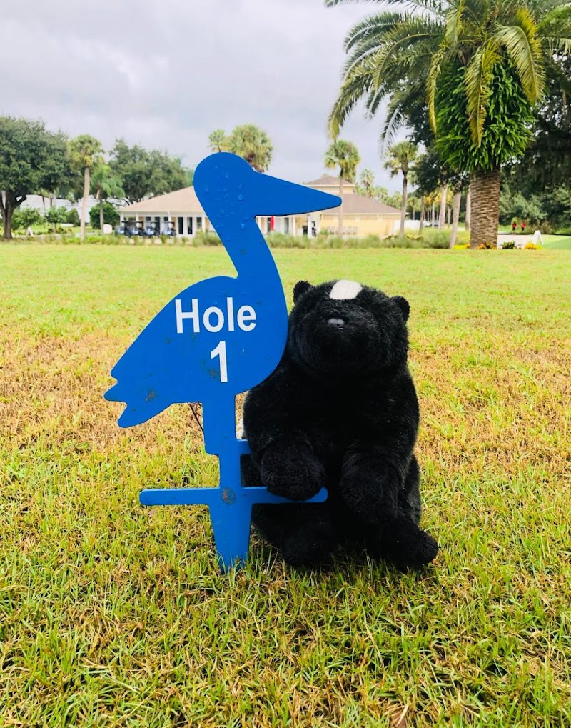 Ridgewood Lakes Golf & Country Club in Davenport, Florida, United States