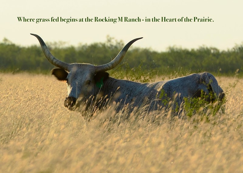 Rocking M Ranch in Dripping Springs, Texas, United States