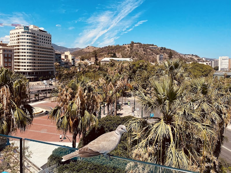 Room Mate Valeria in Malaga, Spain