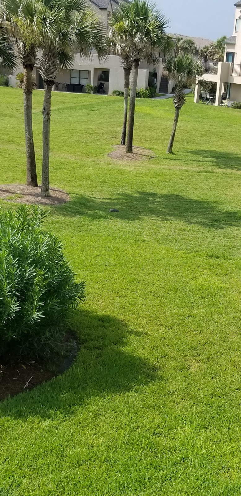 Sailmaker's Place in Fernandina Beach, Florida, United States