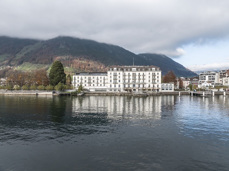 Seehotel Waldstätterhof Swiss Quality Hotel in Ingenbohl, Switzerland
