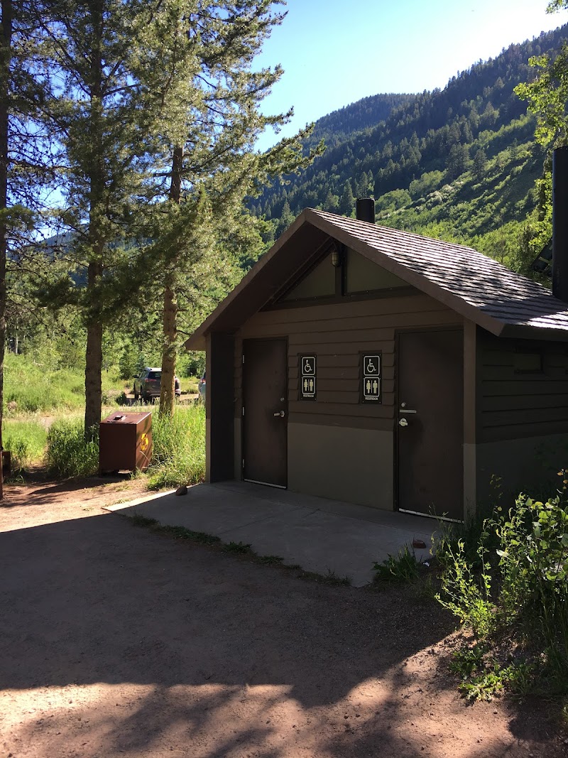 Silverbell in Aspen, Colorado, United States