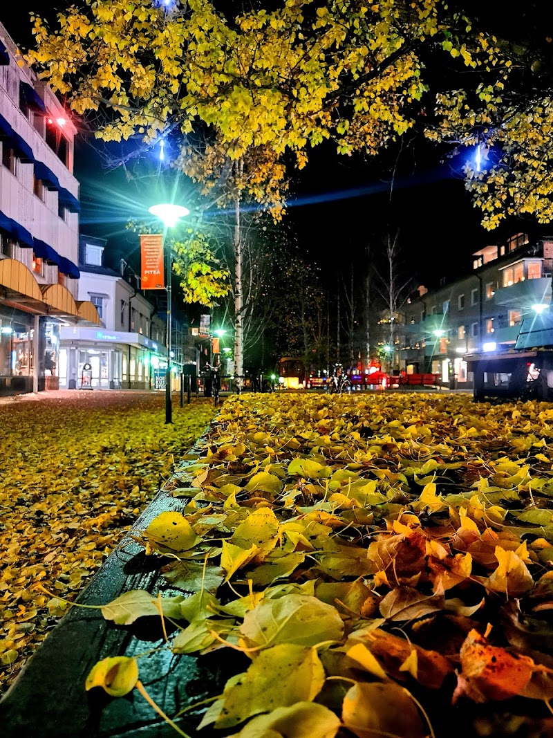 Skoogs City Hotel in Pitea, Sweden