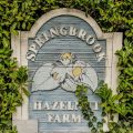 Springbrook Hazelnut Farm