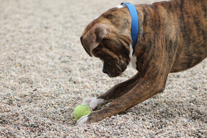 Sunrise Inn in Casper, Wyoming, United States