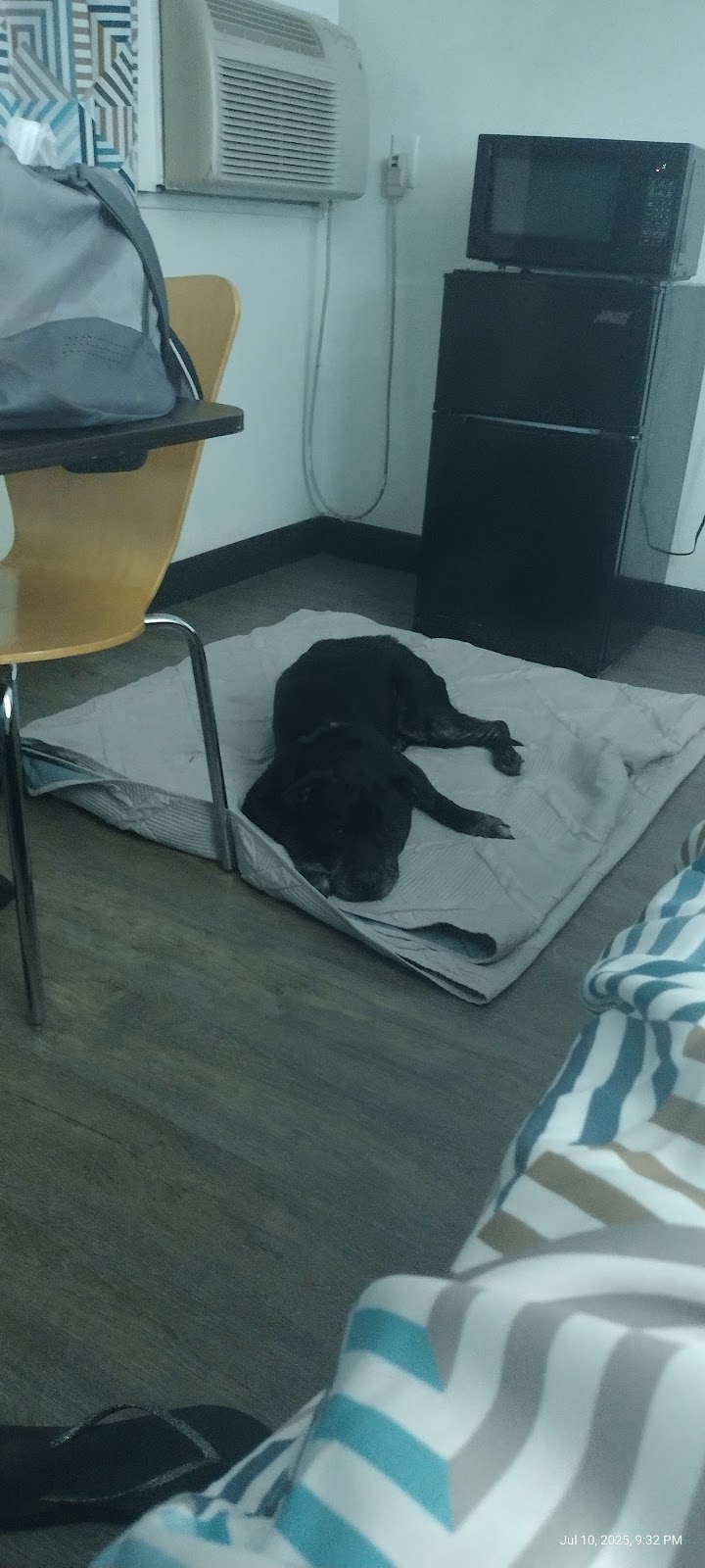 Super 8 by Wyndham Sedalia in Sedalia, Missouri, United States