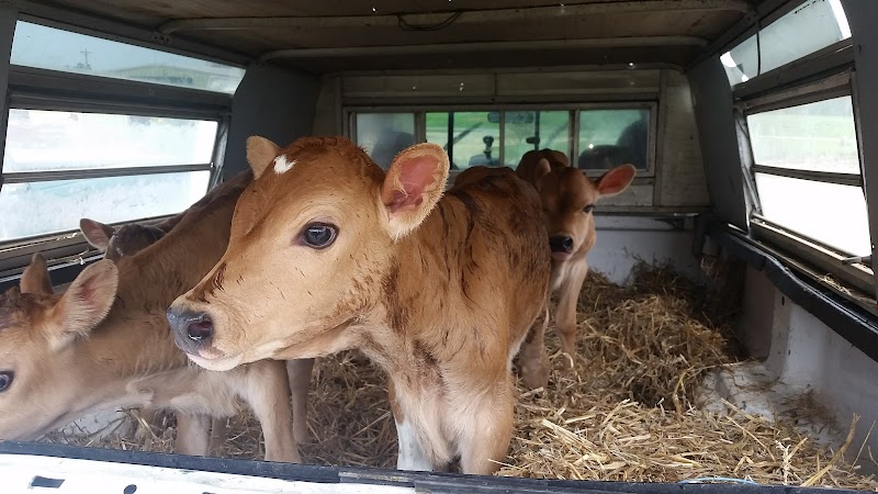 The Farmhouse at Bush River in Newberry, South Carolina, United States