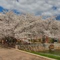 The Penn Stater Hotel and Conference Center