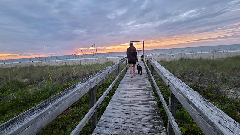 The Salty Hammocks in Carolina Beach, North Carolina, United States
