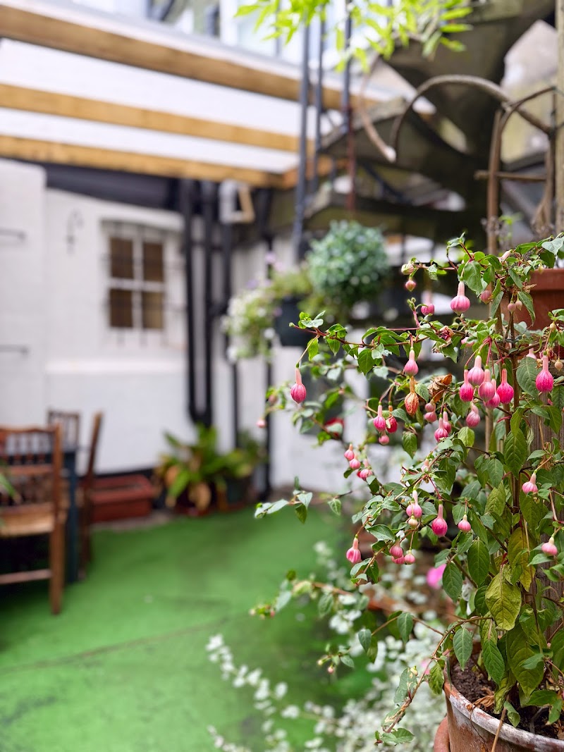 The Western in Saint Ives, United Kingdom