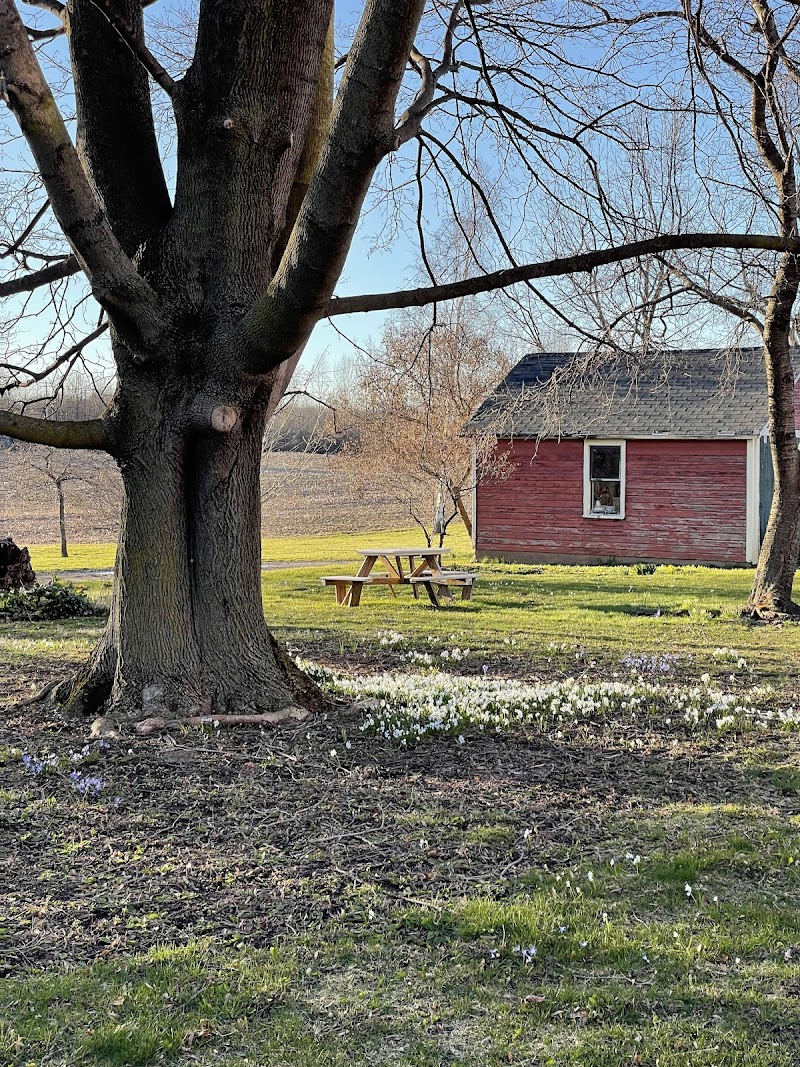 The White Farm Bed & Breakfast in Hilton, New York, United States