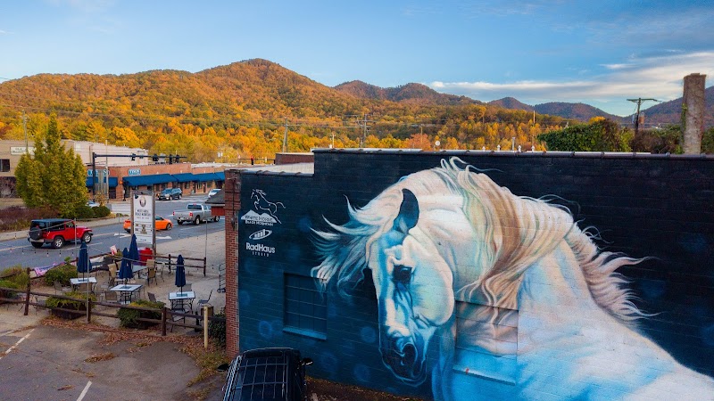 The White House in Black Mountain, North Carolina, United States