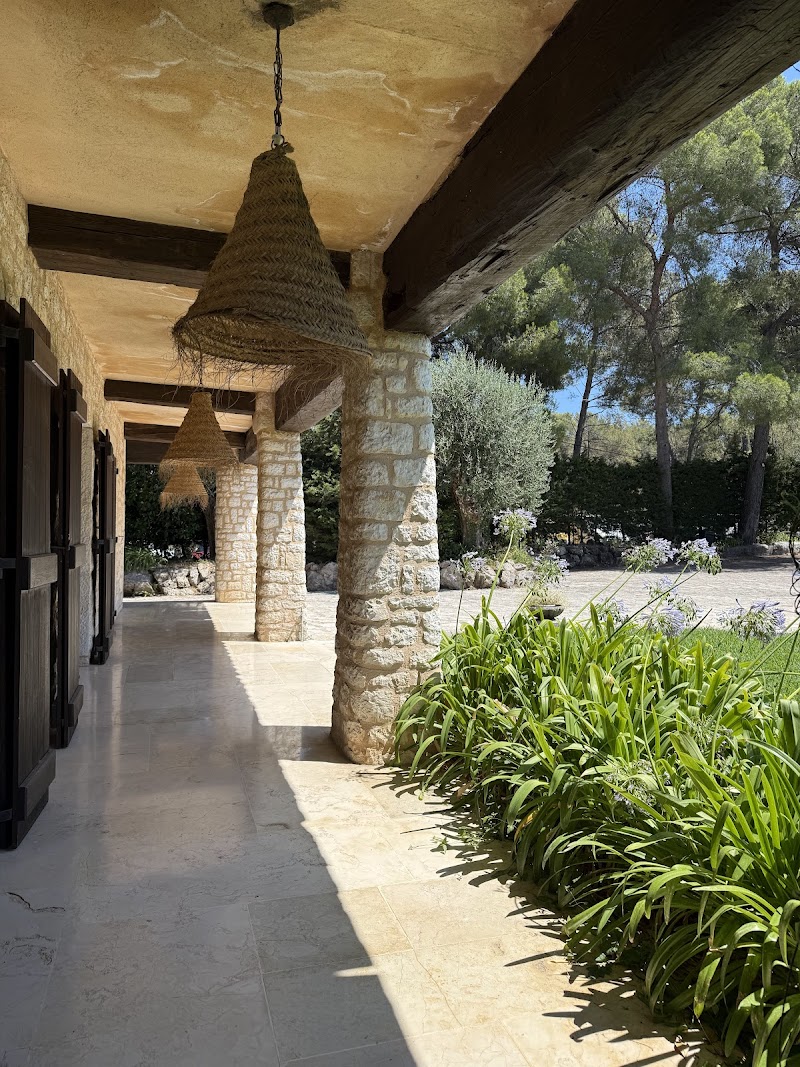Villa Les Oliviers in Vence, France