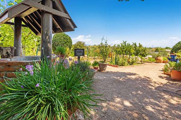 Westward Look Wyndham Grand Resort and Spa in Casas Adobes, Arizona, United States