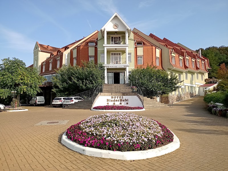BinderBubi Hotel & Spa in Media, Romania