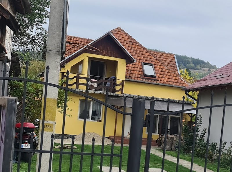 Casa Alina in Hateg, Romania