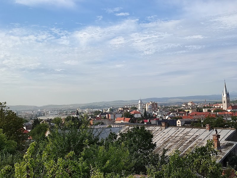 Casa Arya in Turda, Romania