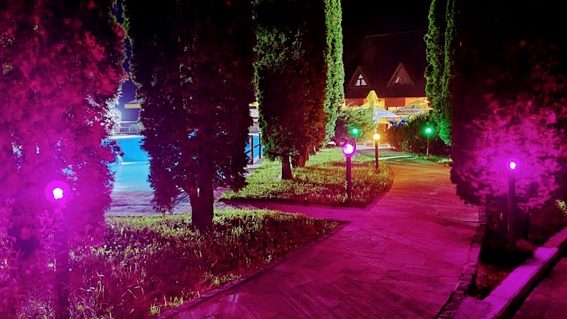 Casa Cu Flori in Covasna, Romania