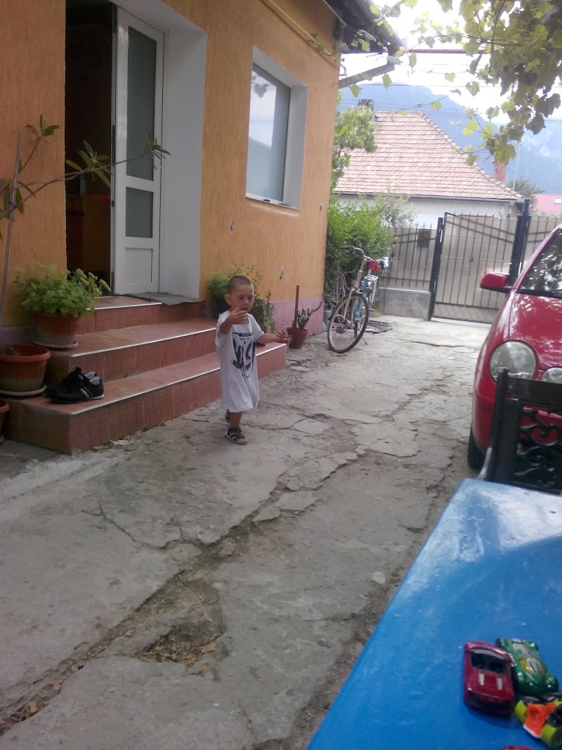 Casa Magdalena in Zarnesti, Romania