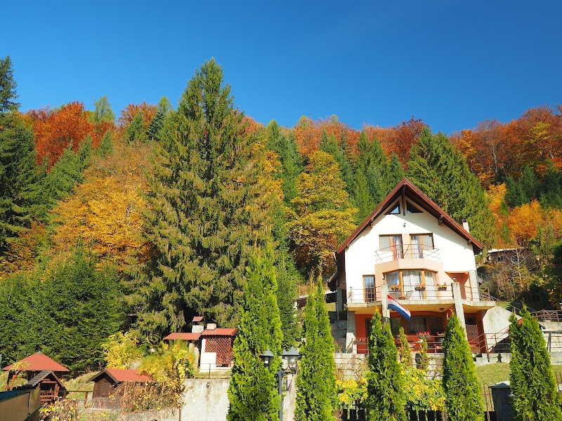 Casa Olandeza in Zarnesti, Romania