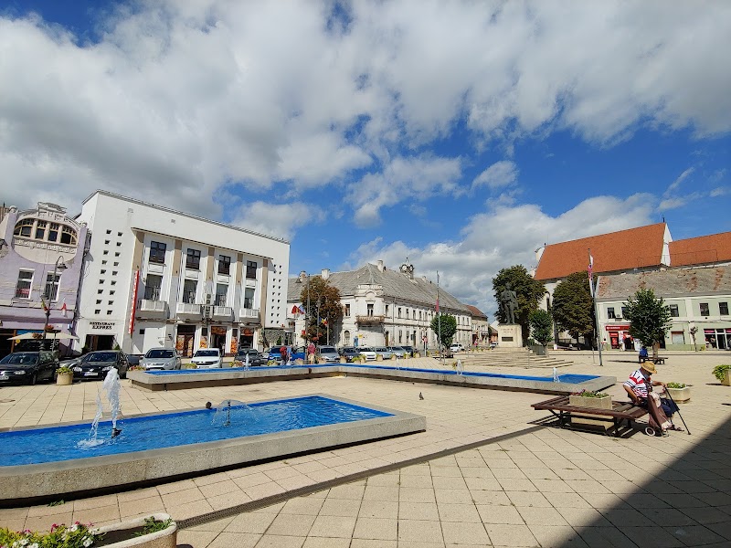 Casa Thaja in Turda, Romania