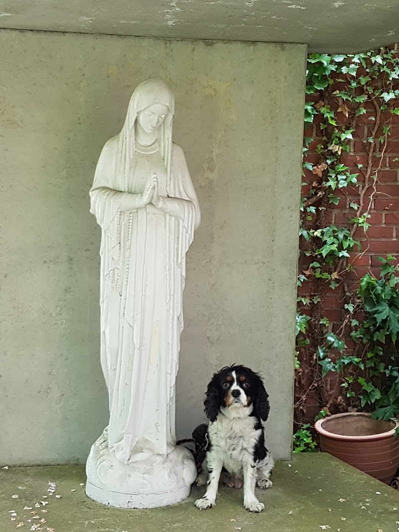 Danhostel Næstved in Naestved, Denmark