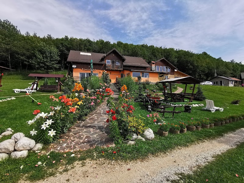 Dumbrava Ursului in Zarnesti, Romania