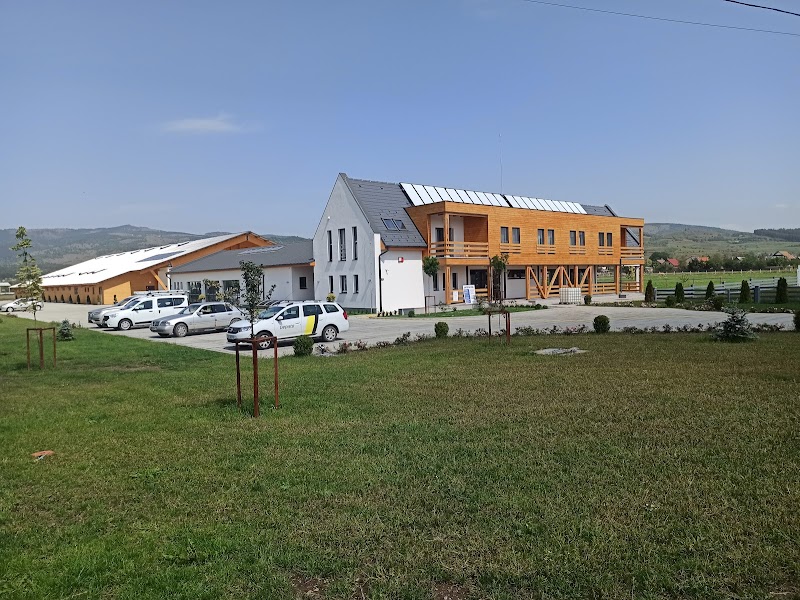 Erdész Hotel in Gheorgheni, Romania