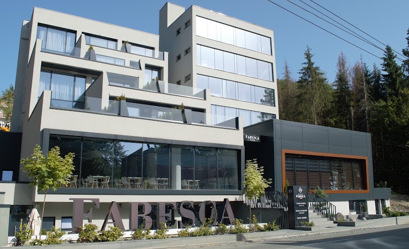 Fabesca Boutique Hotel in Media, Romania