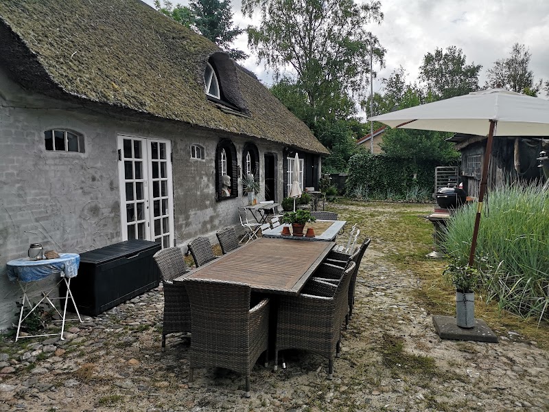 Farm61 in Viborg, Denmark